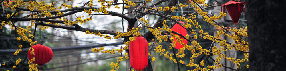 lanterns